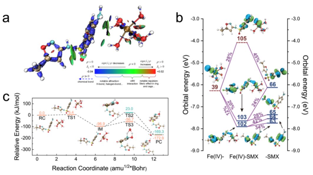 684倍！河海&港城大，最新JACS！