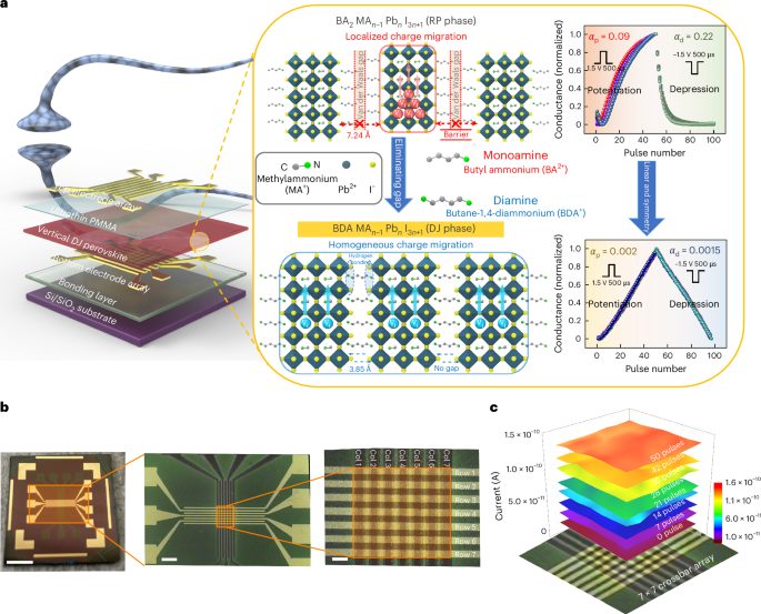 新的二維鈣鈦礦材料，登頂Nature Nanotechnology！