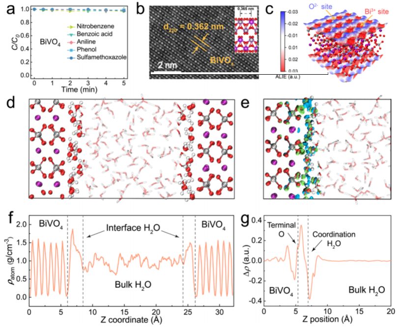 684倍！河海&港城大，最新JACS！