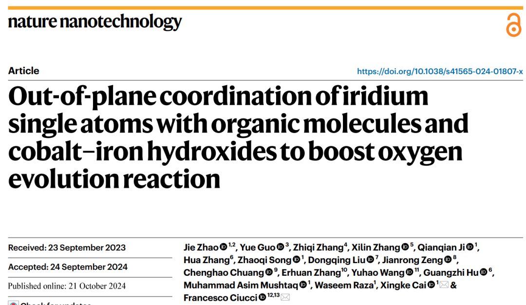 深圳大學，最新Nature Nanotechnology！投稿到接收，剛好1年！