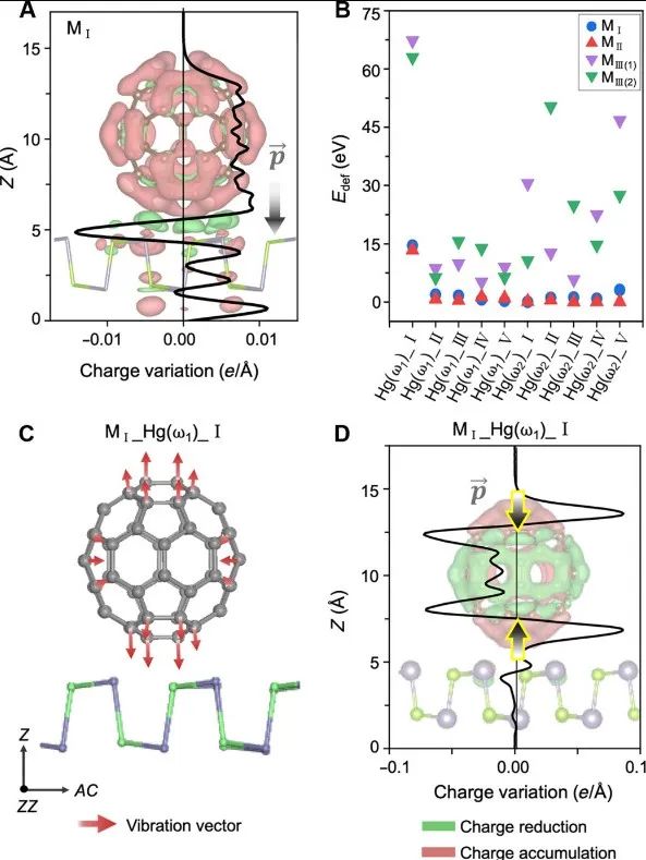 武漢大學(xué)，新發(fā)Science Advances！