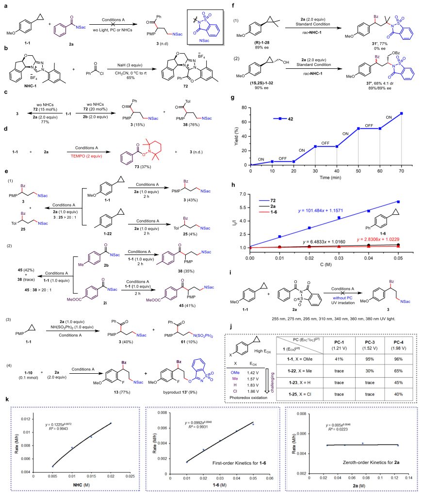 東北師范大學(xué)，最新Nature子刊！