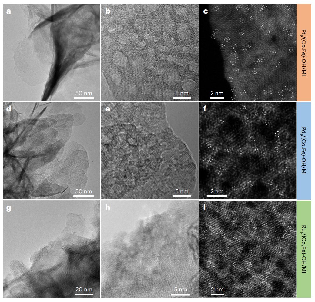 深圳大學，最新Nature Nanotechnology！投稿到接收，剛好1年！