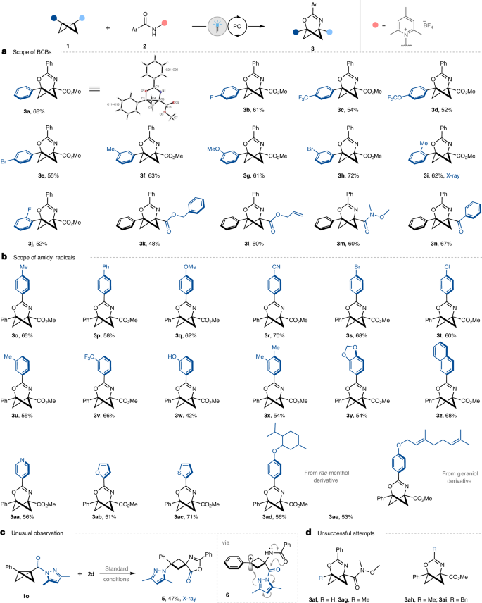 Glorius院士，最新Nature Catalysis！