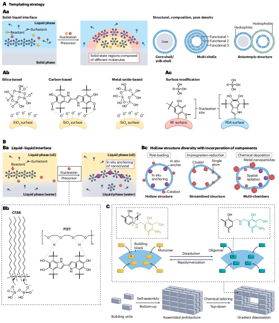 打破校史！“筑巢引鳳”，這所雙一流大學(xué)，迎來首篇Nature Reviews Chemistry封面文章！