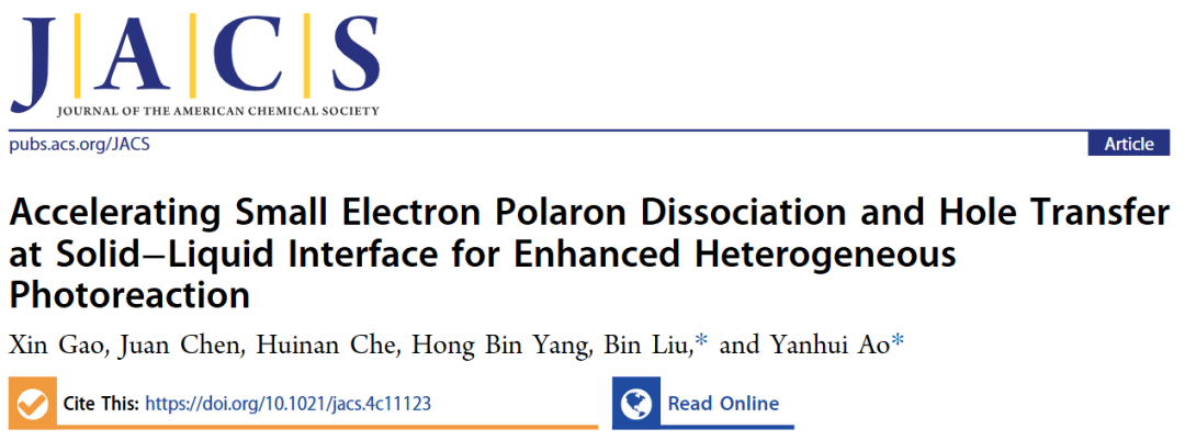 684倍！河海&港城大，最新JACS！