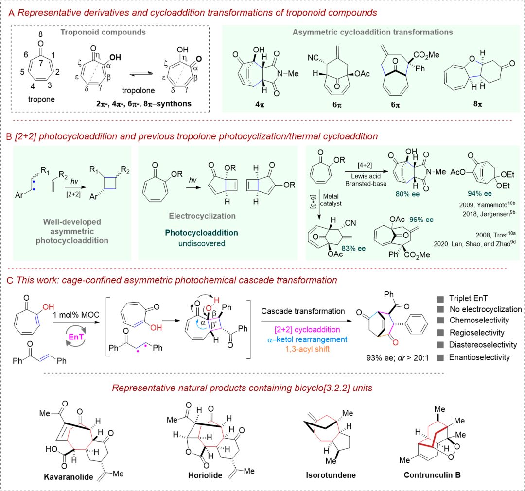 籠狀光催化劑！中山大學(xué)「國(guó)家杰青」蘇成勇，新發(fā)JACS！