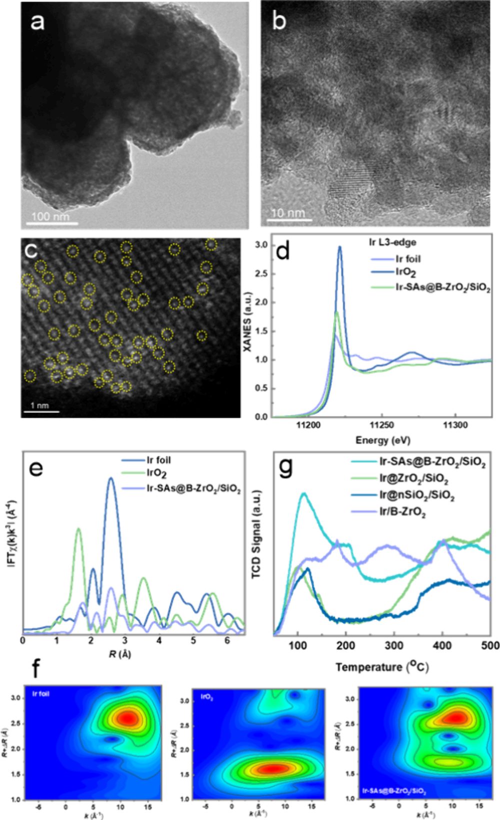 專注催化領(lǐng)域！他，華工「洪堡學(xué)者」，新發(fā)JACS！