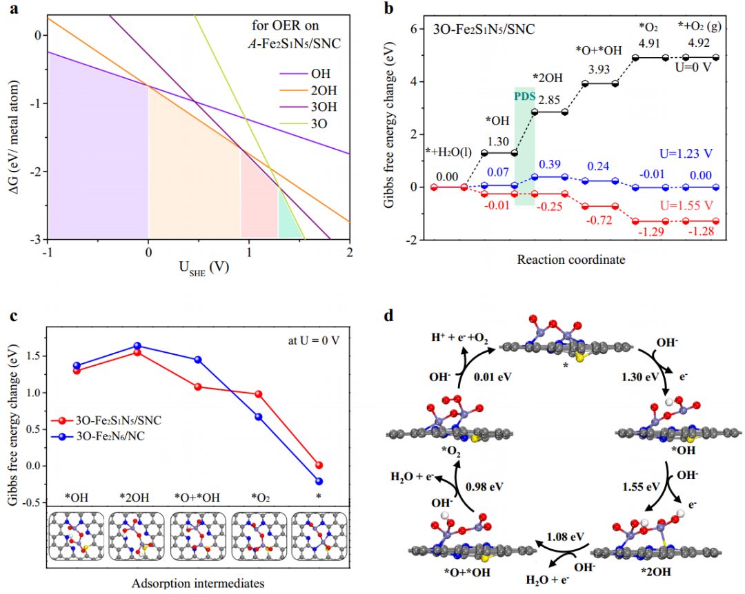 2000h！>97%！鄭州大學(xué)，新發(fā)Nature子刊！