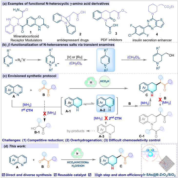 專注催化領(lǐng)域！他，華工「洪堡學(xué)者」，新發(fā)JACS！