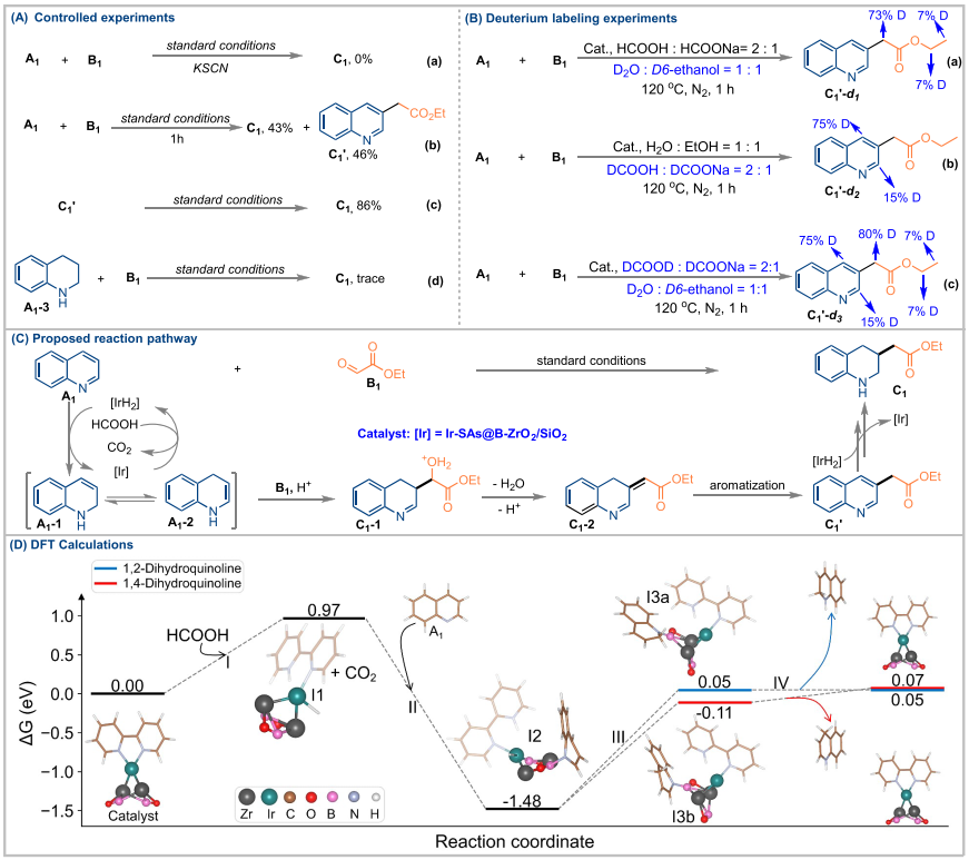 專注催化領(lǐng)域！他，華工「洪堡學(xué)者」，新發(fā)JACS！