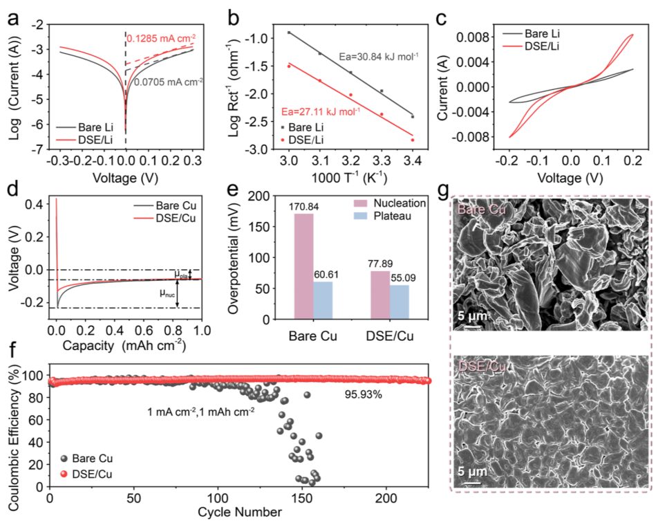 他，曾破格晉升教授，現(xiàn)任985高校院長，新發(fā)JACS：打造無枝晶鋰負(fù)極！