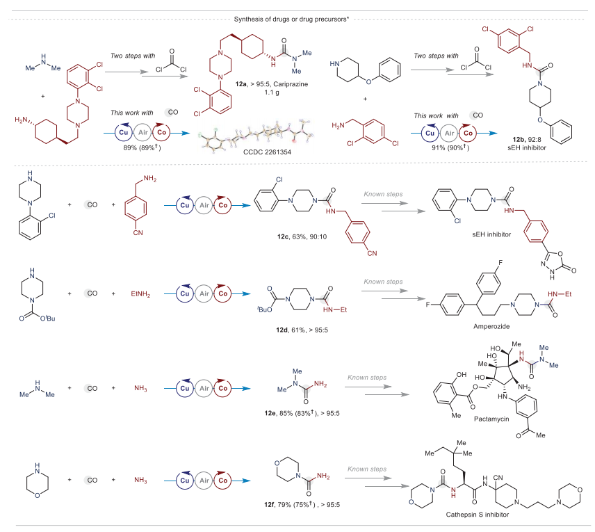 重磅！中科院蘭州化物所，首篇Science！