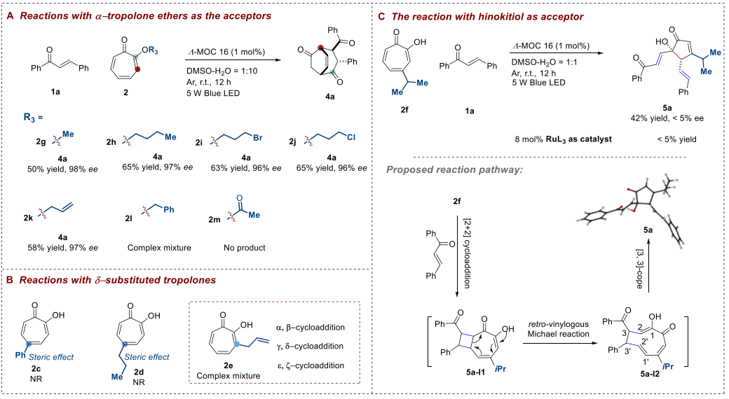 籠狀光催化劑！中山大學(xué)「國(guó)家杰青」蘇成勇，新發(fā)JACS！