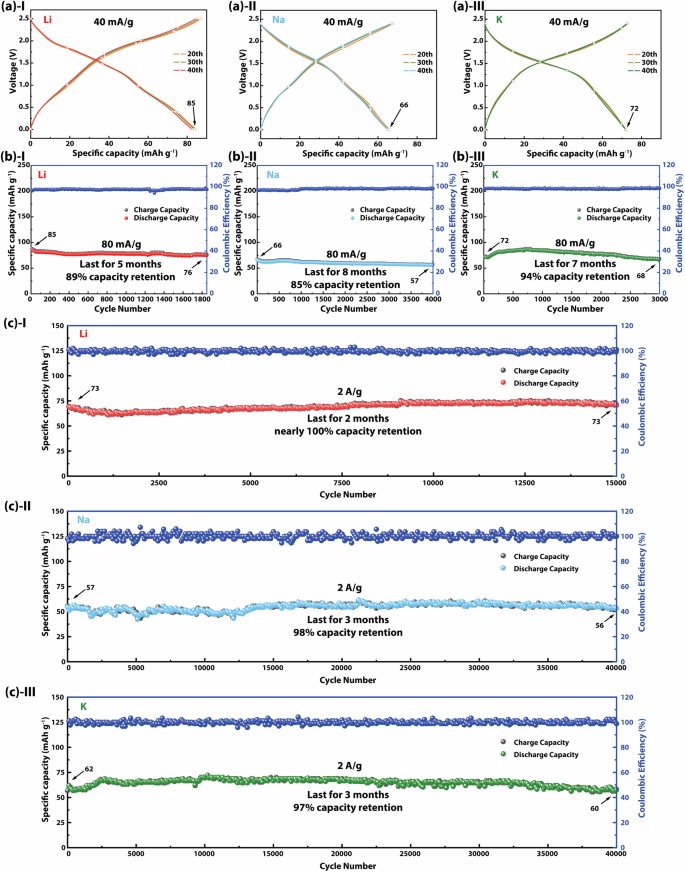 1.5W次，近100%！電子科大&長(zhǎng)虹電器，最新電池Nature子刊！