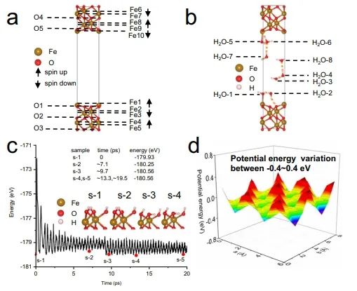 純計(jì)算！長安大學(xué)第一通訊單位發(fā)Nature子刊！