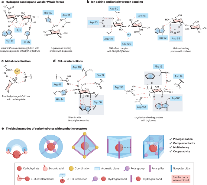 作者僅3人！中山大學(xué)，新發(fā)Nature Reviews Chemistry！