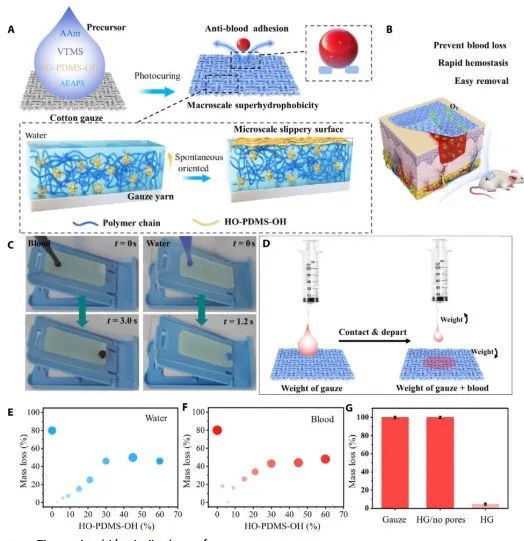 第一完成單位！這所雙非高校，新發(fā)Science子刊！