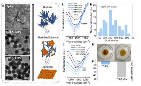 COF膜！博士生一作！哈爾濱工業(yè)大學，新發(fā)Science子刊！