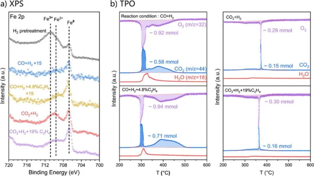 北京大學(xué)馬丁/王蒙，新發(fā)ACS Catalysis！