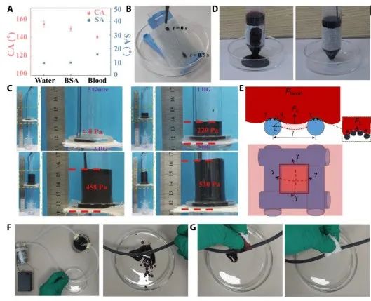 第一完成單位！這所雙非高校，新發(fā)Science子刊！