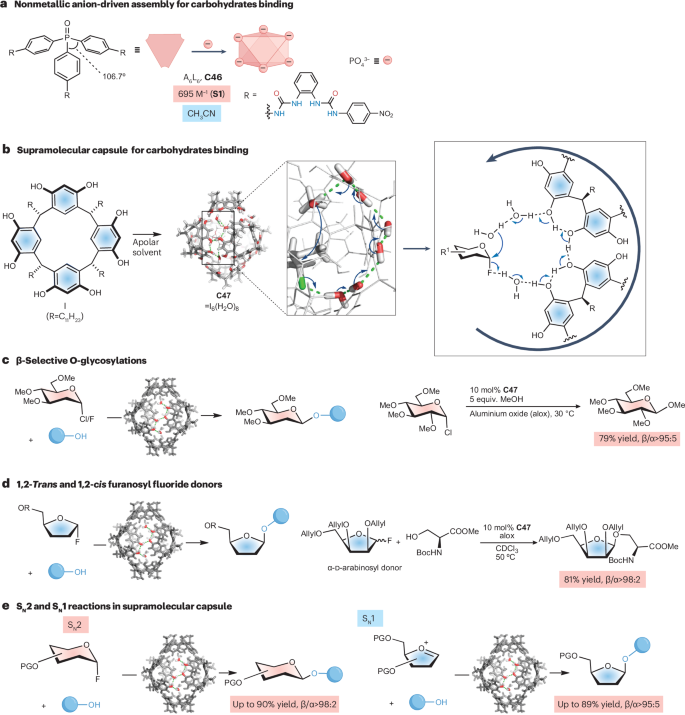 作者僅3人！中山大學(xué)，新發(fā)Nature Reviews Chemistry！