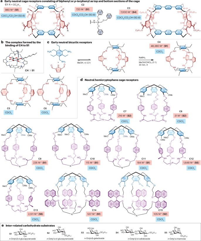 作者僅3人！中山大學(xué)，新發(fā)Nature Reviews Chemistry！