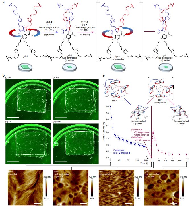 曼斯切斯特大學(xué)/華東師范大學(xué)，今日Nature！