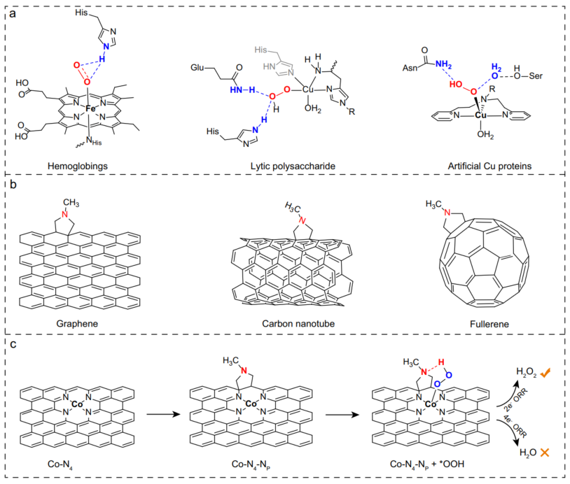 碩士一作！他，師從孫立成，西湖大學(xué)PI，新發(fā)Nature子刊！