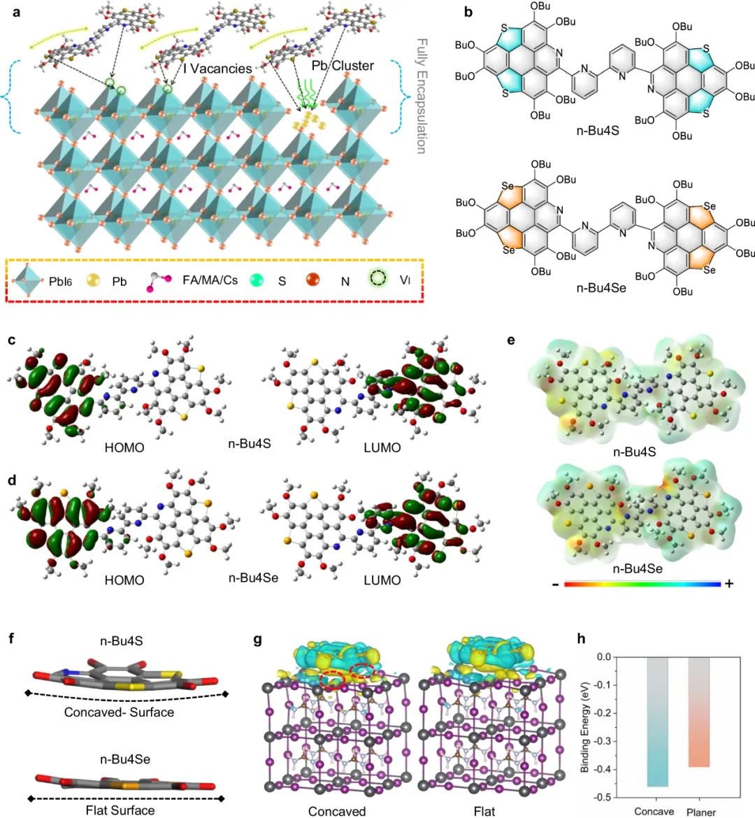 強(qiáng)強(qiáng)聯(lián)手！電子科大&蘭大，新發(fā)Nature子刊！