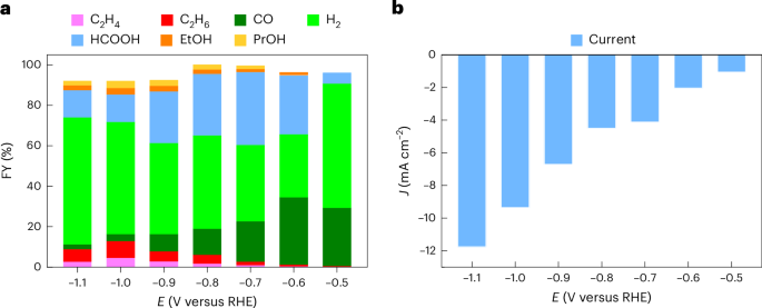 重磅！他，10年當選三院院士，最新Nature Catalysis！