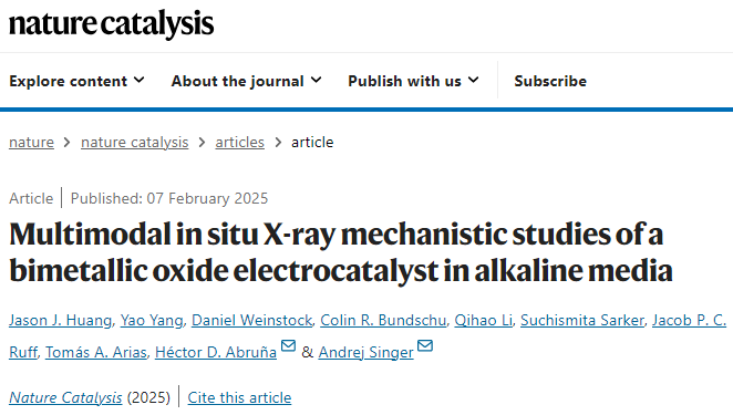 他，康奈爾大學博士，一作新發(fā)Nature Catalysis！