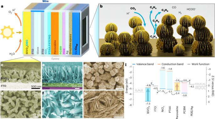 重磅！他，10年當選三院院士，最新Nature Catalysis！