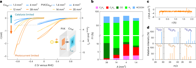 重磅！他，10年當選三院院士，最新Nature Catalysis！