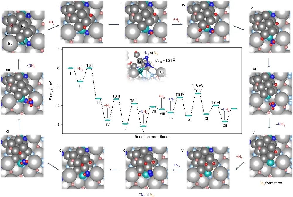 低溫氨合成新突破！南京工業(yè)大學(xué)，第一單位發(fā)Nature大子刊！