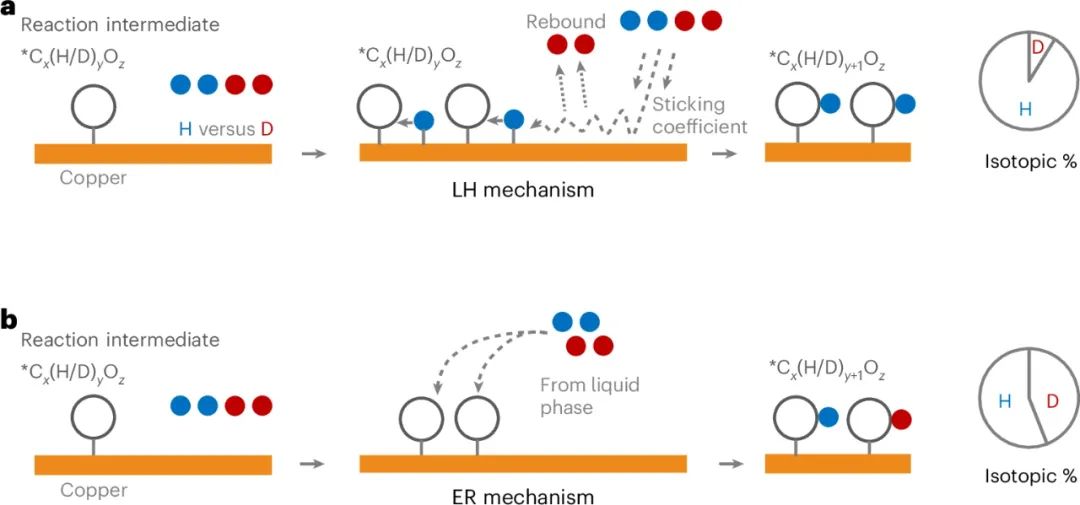 他，NUS杰出青年科學(xué)家，聯(lián)手Edward H. Sargent高徒，新發(fā)Nature Chemistry！